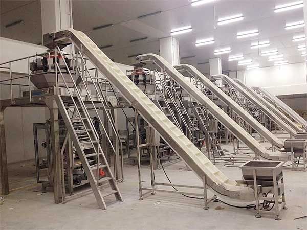 智能化全自动速冻食品草莓社区网址的新地址提升企业生产效率