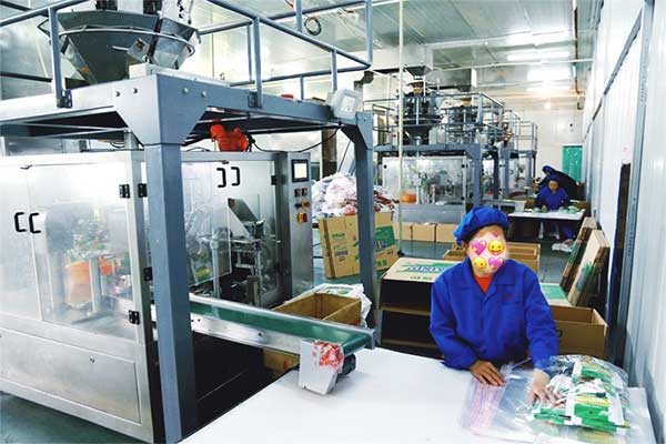 给袋式颗粒全自动草莓社区网址的新地址厂家